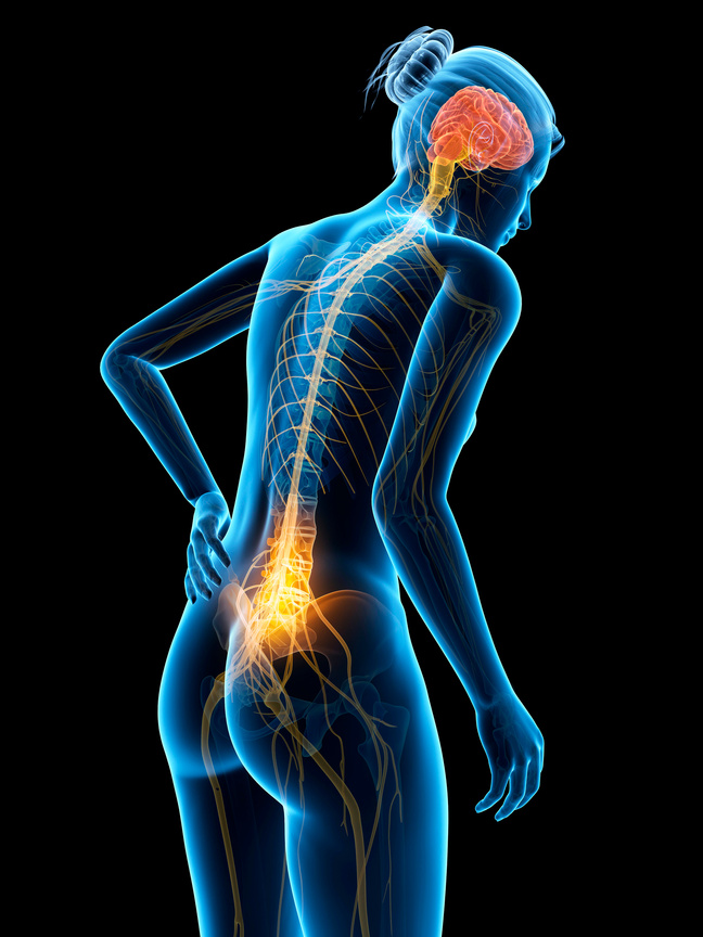 "Human back pain